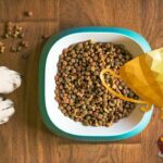 top mejor pienso para perros